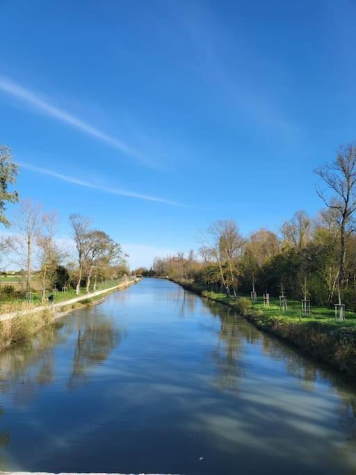 Hebergement - Canal Du Midi Saint-Martin-Lalande Exteriör bild
